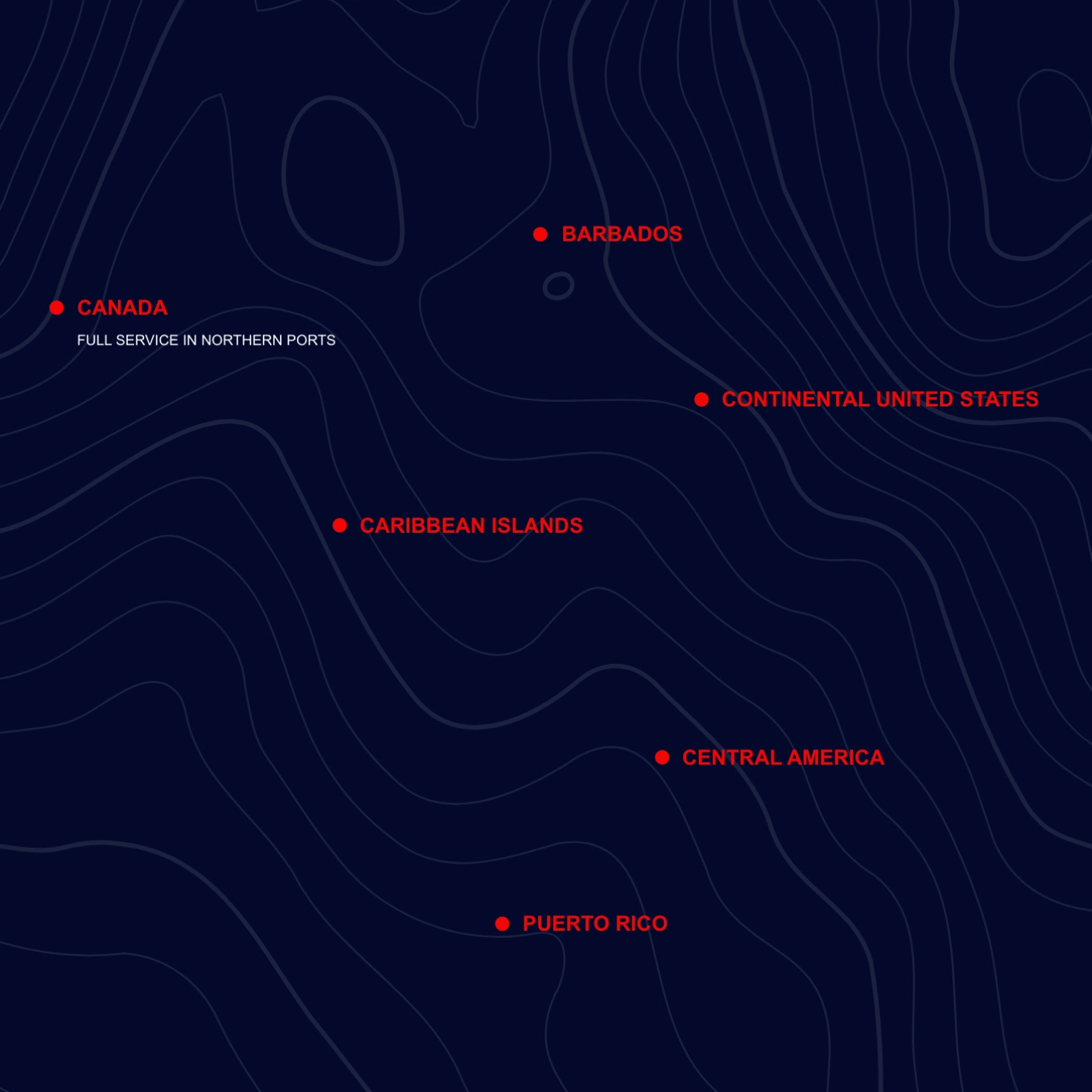 Brand Identity 3