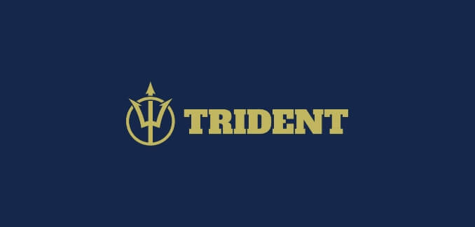 Triednt-vertical-logo