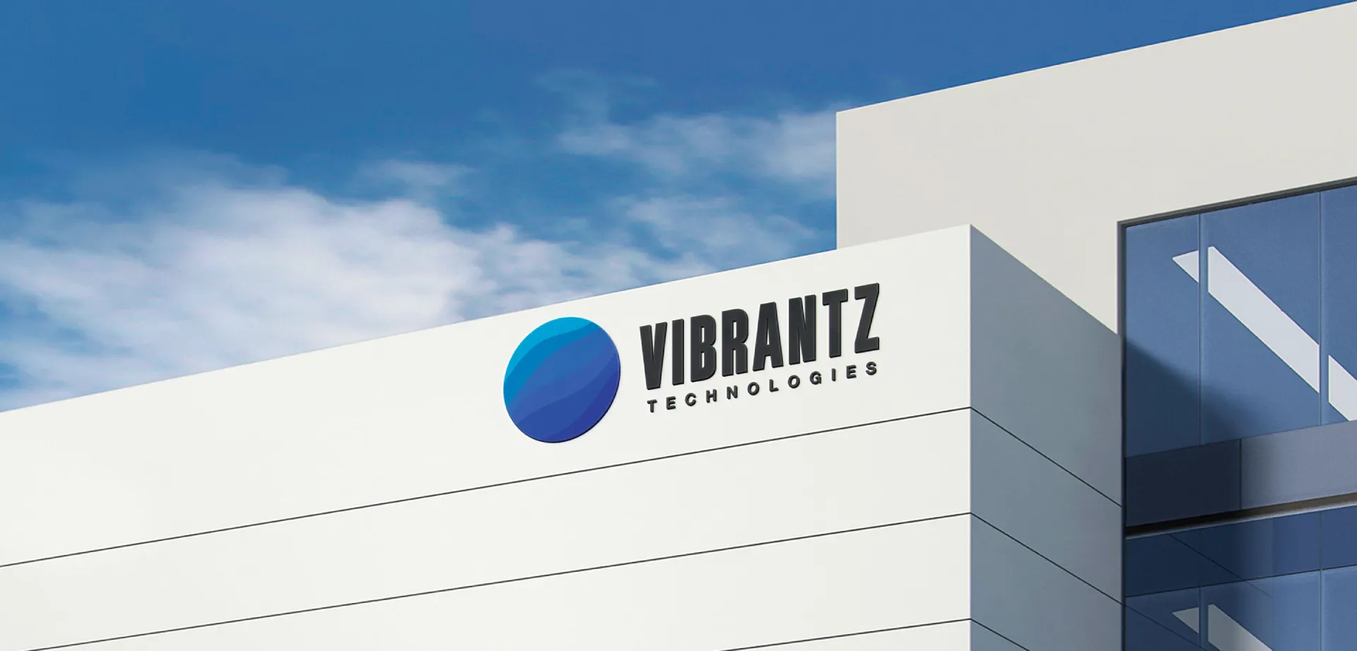 Vibrantz Hero