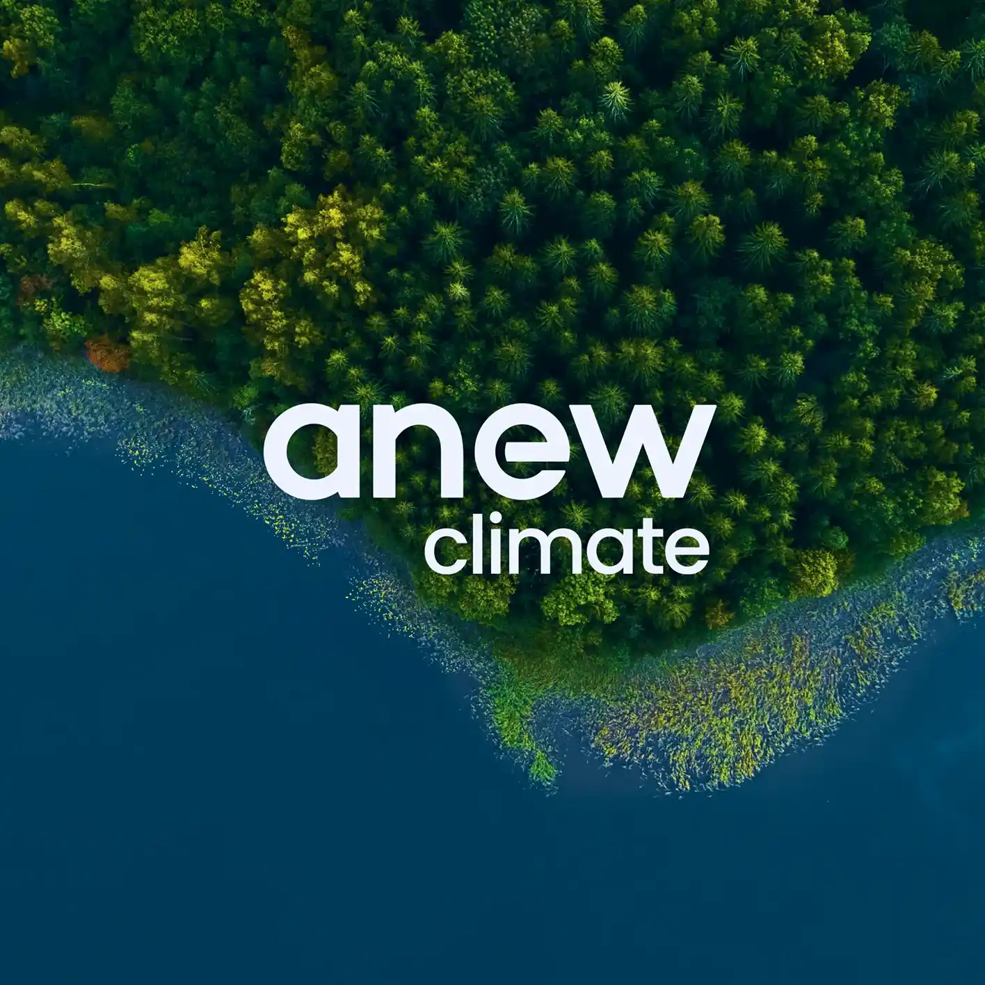 portfolio-anew-climate